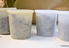 The Porto10 is made of 100% recycled material and the Procona of 50%. Currently, the other portos are still being tested.